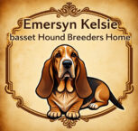 Emersyn Kelsie basset Hound Breeders Home